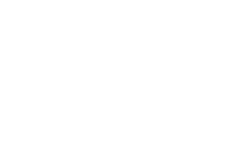 Stella Artois
